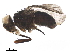  ( - BIOUG29946-C11)  @14 [ ] CreativeCommons - Attribution (2019) CBG Photography Group Centre for Biodiversity Genomics