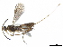  ( - BIOUG29912-B11)  @12 [ ] CreativeCommons - Attribution (2019) CBG Photography Group Centre for Biodiversity Genomics