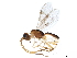  ( - BIOUG29964-B02)  @13 [ ] CreativeCommons - Attribution (2019) CBG Photography Group Centre for Biodiversity Genomics