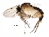  ( - BIOUG30000-F07)  @14 [ ] CreativeCommons - Attribution (2016) CBG Photography Group Centre for Biodiversity Genomics