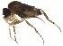  ( - BIOUG30117-F01)  @11 [ ] CreativeCommons - Attribution (2019) CBG Photography Group Centre for Biodiversity Genomics