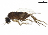  ( - BIOUG30055-G08)  @11 [ ] CreativeCommons - Attribution (2019) CBG Photography Group Centre for Biodiversity Genomics