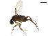  ( - BIOUG30013-D07)  @11 [ ] CreativeCommons - Attribution (2019) CBG Photography Group Centre for Biodiversity Genomics