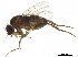  ( - BIOUG30248-B05)  @11 [ ] CreativeCommons - Attribution (2019) CBG Photography Group Centre for Biodiversity Genomics