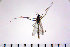  ( - NIESD0282)  @12 [ ] CreativeCommons - Attribution Non-Commercial Share-Alike (2015) Unspecified National Institute for Environmental Studies, Japan
