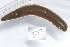  ( - 10PROBE-19163)  @13 [ ] CreativeCommons - Attribution (2010) CBG Photography Group Centre for Biodiversity Genomics
