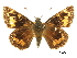  ( - BIOUG36855-B03)  @11 [ ] CreativeCommons - Attribution (2017) Jacopo D'Ercole Centre for Biodiversity Genomics