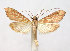  ( - DP09153)  @13 [ ] Copyright (2010) Unspecified Research Collection of W. and J. De Prins