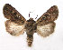  ( - TS EUX 002)  @14 [ ] Copyright (2010) Unspecified Research Collection of W. and J. De Prins
