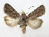  ( - TS EUX 004)  @14 [ ] Copyright (2010) Unspecified Research Collection of W. and J. De Prins