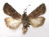  ( - TS EUX 005)  @14 [ ] Copyright (2010) Unspecified Research Collection of W. and J. De Prins