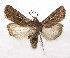  ( - TS EUX 010)  @14 [ ] Copyright (2010) Unspecified Research Collection of W. and J. De Prins