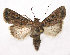 ( - TS EUX 013)  @14 [ ] Copyright (2010) Unspecified Research Collection of W. and J. De Prins
