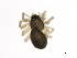  ( - 09-PROBE-08147)  @12 [ ] CreativeCommons - Attribution (2010) Unspecified Centre for Biodiversity Genomics