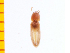  ( - Ahel1)  @12 [ ] Copyright (2013) Unspecified Specimen depository of the Graduate School of Natural Sciences, Nagoya City University