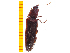  ( - Pforf10)  @13 [ ] Copyright (2013) Unspecified Specimen depository of the Graduate School of Natural Sciences, Nagoya City University