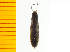  ( - Cobs1)  @12 [ ] Copyright (2013) Unspecified Specimen depository of the Graduate School of Natural Sciences, Nagoya City University
