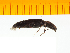  ( - Akid6)  @12 [ ] Copyright (2013) Unspecified Specimen depository of the Graduate School of Natural Sciences, Nagoya City University