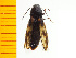  ( - Pone2)  @13 [ ] Copyright (2013) Unspecified Specimen depository of the Graduate School of Natural Sciences, Nagoya City University