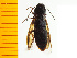  ( - Pone2)  @12 [ ] Copyright (2013) Unspecified Specimen depository of the Graduate School of Natural Sciences, Nagoya City University