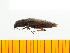  ( - Pone3)  @13 [ ] Copyright (2013) Unspecified Specimen depository of the Graduate School of Natural Sciences, Nagoya City University