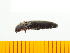  ( - Msen2)  @13 [ ] Copyright (2013) Unspecified Specimen depository of the Graduate School of Natural Sciences, Nagoya City University