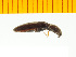  ( - Sbif2)  @12 [ ] Copyright (2013) Unspecified Specimen depository of the Graduate School of Natural Sciences, Nagoya City University