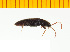  ( - Mforf2)  @12 [ ] Copyright (2013) Unspecified Specimen depository of the Graduate School of Natural Sciences, Nagoya City University