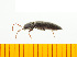  ( - Mforf2)  @13 [ ] Copyright (2013) Unspecified Specimen depository of the Graduate School of Natural Sciences, Nagoya City University
