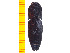  ( - Cber2)  @12 [ ] Copyright (2013) Unspecified Specimen depository of the Graduate School of Natural Sciences, Nagoya City University