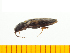  ( - Pone4)  @13 [ ] Copyright (2013) Unspecified Specimen depository of the Graduate School of Natural Sciences, Nagoya City University