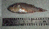  ( - ApFa46S)  @12 [ ] Unspecified (default): All Rights Reserved  Unspecified Unspecified