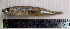  ( - AtBo3A)  @12 [ ] Unspecified (default): All Rights Reserved  Unspecified Unspecified
