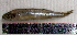  ( - AtBo3B)  @12 [ ] Unspecified (default): All Rights Reserved  Unspecified Unspecified