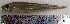  ( - AtBo3D)  @12 [ ] Unspecified (default): All Rights Reserved  Unspecified Unspecified