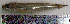  ( - AtBo3E)  @12 [ ] Unspecified (default): All Rights Reserved  Unspecified Unspecified