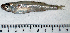  ( - AtBo3M)  @12 [ ] Unspecified (default): All Rights Reserved  Unspecified Unspecified