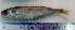  ( - BoBo24C)  @11 [ ] Unspecified (default): All Rights Reserved  Unspecified Unspecified