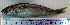  ( - BoBo24D)  @11 [ ] Unspecified (default): All Rights Reserved  Unspecified Unspecified
