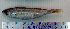  ( - BoBo24E)  @11 [ ] Unspecified (default): All Rights Reserved  Unspecified Unspecified