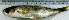  ( - BoBo24G)  @11 [ ] Unspecified (default): All Rights Reserved  Unspecified Unspecified