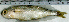  ( - BoBo24H)  @11 [ ] Unspecified (default): All Rights Reserved  Unspecified Unspecified
