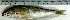 ( - BoBo24K)  @11 [ ] Unspecified (default): All Rights Reserved  Unspecified Unspecified