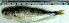  ( - BoBo24L)  @11 [ ] Unspecified (default): All Rights Reserved  Unspecified Unspecified