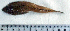  ( - CaFi17N)  @12 [ ] Unspecified (default): All Rights Reserved  Unspecified Unspecified