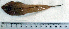  ( - CaFi17O)  @12 [ ] Unspecified (default): All Rights Reserved  Unspecified Unspecified
