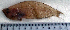  ( - CiLi8O)  @12 [ ] Unspecified (default): All Rights Reserved  Unspecified Unspecified