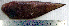  ( - CySi20A)  @12 [ ] Unspecified (default): All Rights Reserved  Unspecified Unspecified