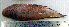  ( - CySi20B)  @12 [ ] Unspecified (default): All Rights Reserved  Unspecified Unspecified
