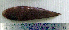  ( - CySi20C)  @12 [ ] Unspecified (default): All Rights Reserved  Unspecified Unspecified